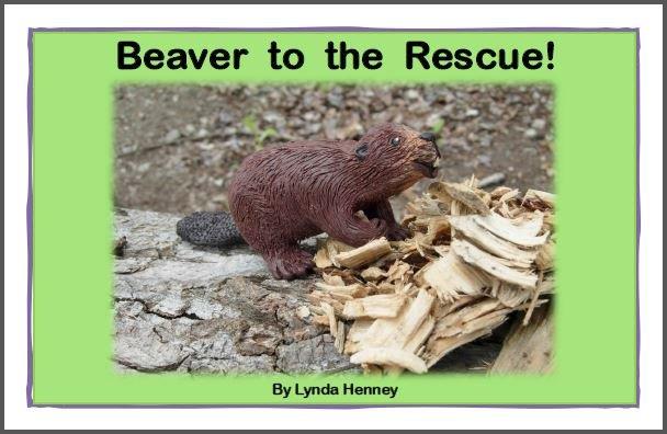 https://foxyandfriendsbooks.ca/wp-content/uploads/2016/11/1Beaver-to-the-Rescue-front-cover.jpg
