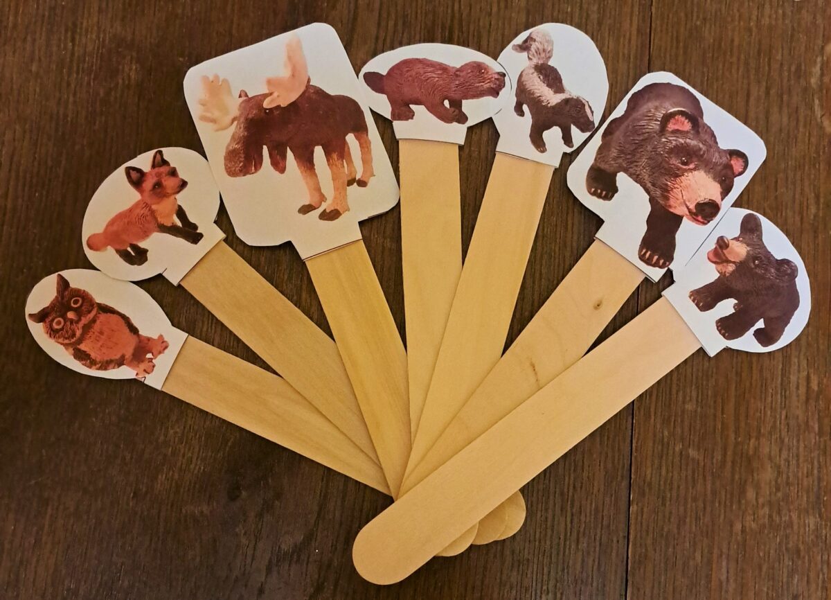 Finger Puppets/ Stick Puppets Foxy and Friends Books